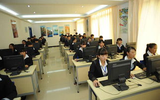 2016年初高中應(yīng)屆生熱門專業(yè)報(bào)考指南 電子商務(wù)技術(shù)服務(wù)專業(yè)