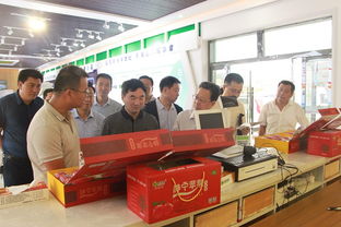 國(guó)家發(fā)改委來(lái)我縣調(diào)研蘋(píng)果產(chǎn)業(yè) 生產(chǎn)創(chuàng)新與電商融合助力市場(chǎng)變革